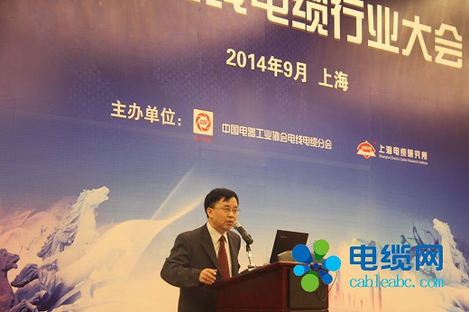 魏东在2014年中国电线电缆行业大会上做开幕致辞