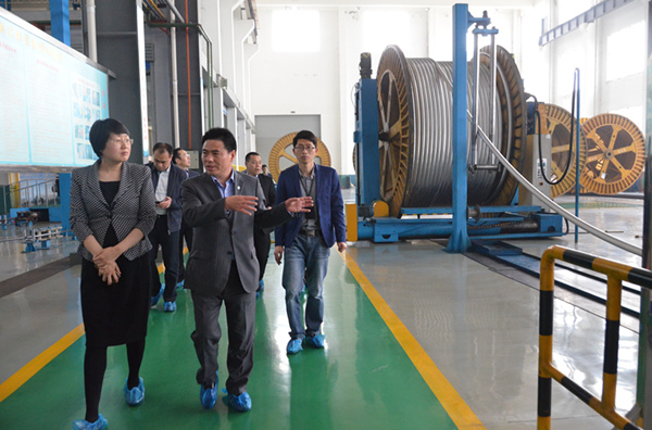 天津港(集团)领导莅临远东进行参观考察