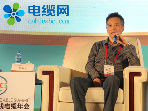 贺明志:没有要回避电线电缆企业的“dead法”问题 贺明志:没有要回避电线电缆企业的“dead法”问题