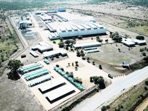 劳燕分飞 固特异与住友橡胶联盟即将解散
