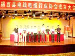 揭西县电线电缆行业协会成立 揭西县电线电缆行业协会成立