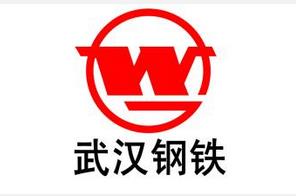 宝钢"管家"马国强将出任武钢股份董事长