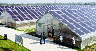 力诺电力成武20MW农业光伏项目开工建设