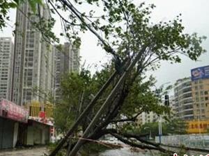 台风致粤逾2000公里电缆受损