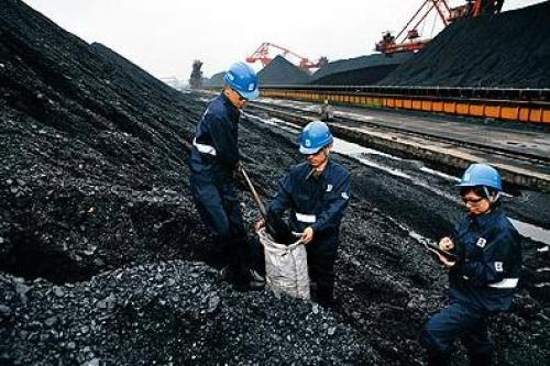 王晓林:加快调整煤炭产业结构 推进高效发展
