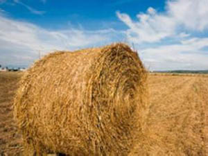 生物质能源助力湖北实现精准扶贫