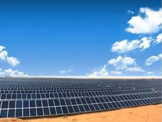 张世国:光伏企业走出去要打 持久战