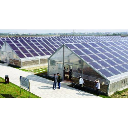 首个光伏农业科技产业园初步建成 蔬菜大棚能