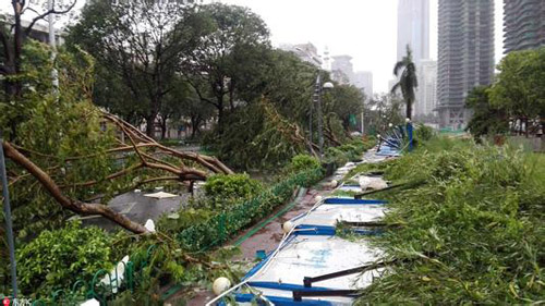 台风“莫兰蒂”过境 毁灭性重创厦门电网