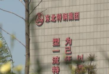 东北特钢 东北特钢