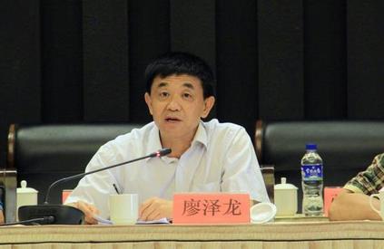 云南电网公司原总经理廖泽龙被调查