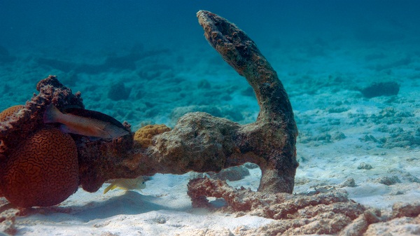 船舶抛锚破坏海底光缆 英法国际通信受影响