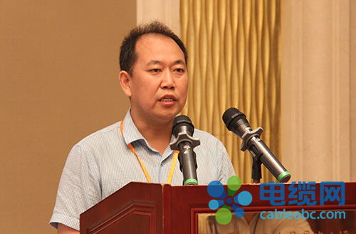 辽宁省电线电缆行业协会会长胡东恒发言 辽宁省电线电缆行业协会会长胡东恒发言