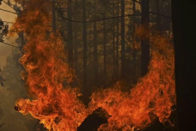 美国北加州山火已致21人死亡 电线或为“导火线” 美国北加州山火已致21人死亡 电线或为“导火线”