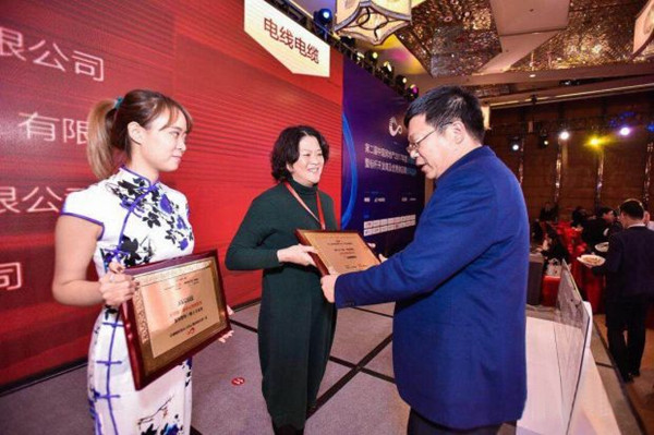 马月琴代表远东电缆接受颁奖 马月琴代表远东电缆接受颁奖