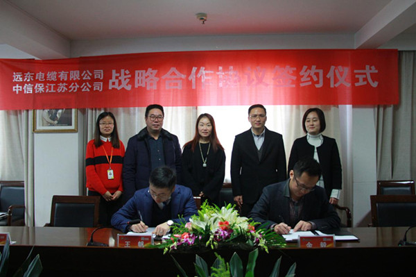 远东电缆与中信保(江苏)签约,开启战略合作模式 远东电缆与中信保(江苏)签约,开启战略合作模式