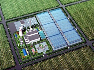 “山东海德”36MW(兆瓦)生物质能源发电项目正式签约 “山东海德”36MW(兆瓦)生物质能源发电项目正式签约