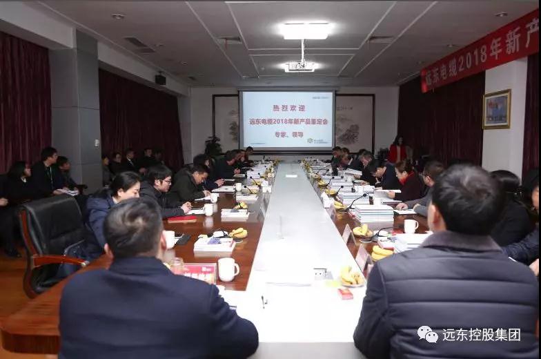 远东电缆2018年新产品鉴定会现场 远东电缆2018年新产品鉴定会现场