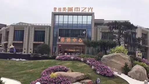 碧桂园 碧桂园