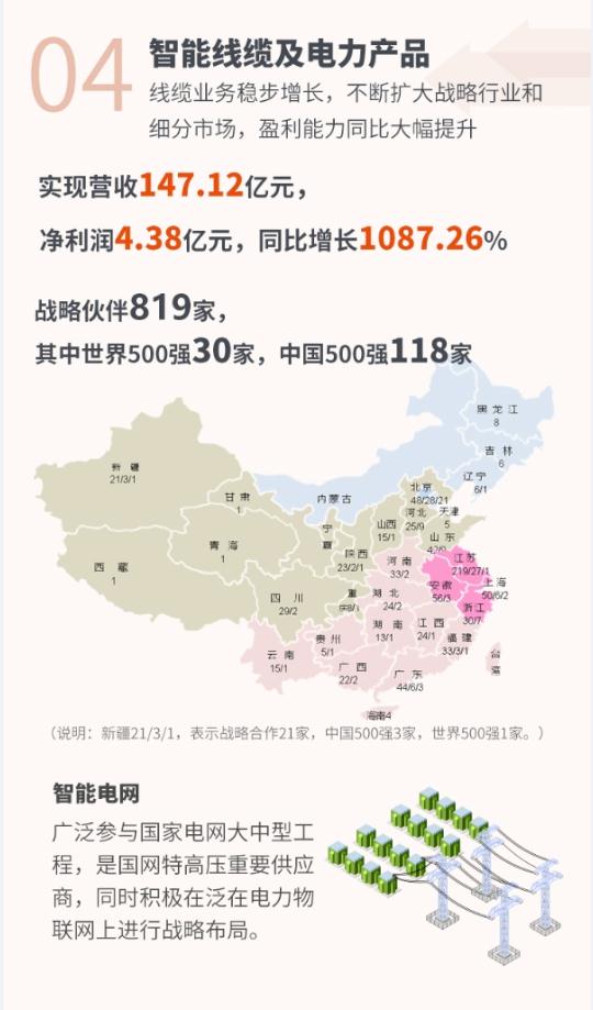 һ��ͼ�����ǻ���Դ��600869��2018���걨