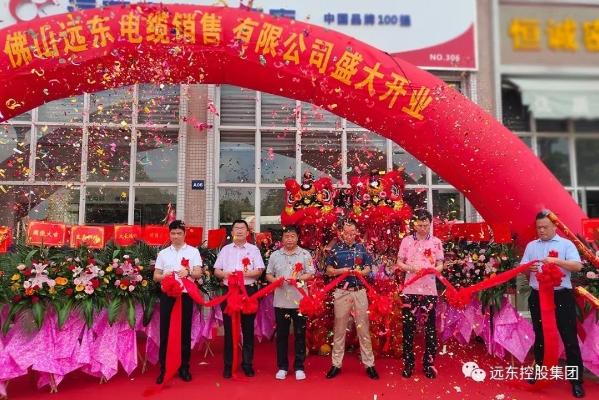 ������ʽ