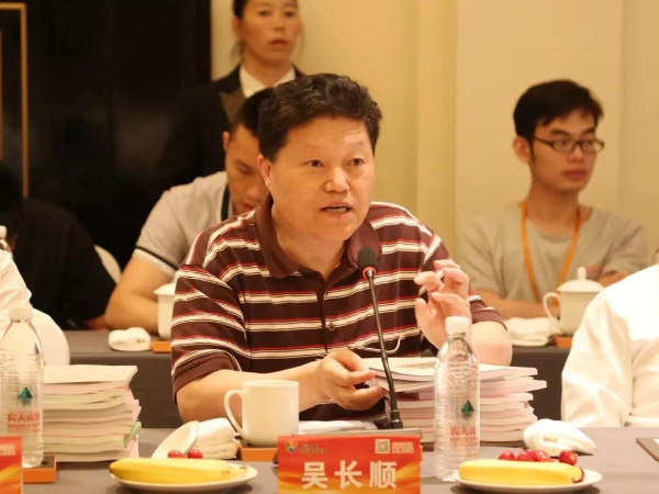 国际大电网绝缘电缆中国研究委员会副主任、教授级高工吴长顺在会上发言