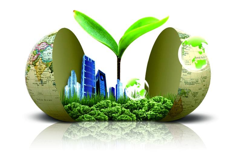 中国一次能源需求预计2035年后年均增速为负 中国一次能源需求预计2035年后年均增速为负