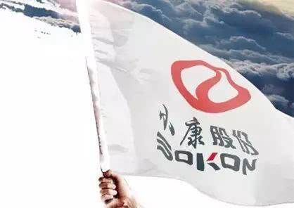 小康股份 小康股份