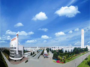 宝胜股份 宝胜股份