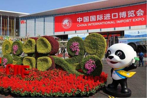第二届进博会今天开幕 开放的中国具有强大吸引力 第二届进博会今天开幕 开放的中国具有强大吸引力