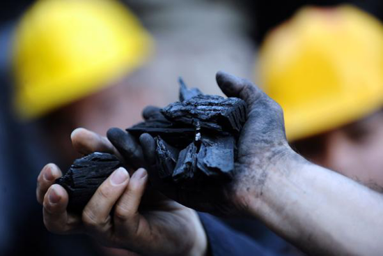 今年南方海上调入煤炭数量保持增长态势