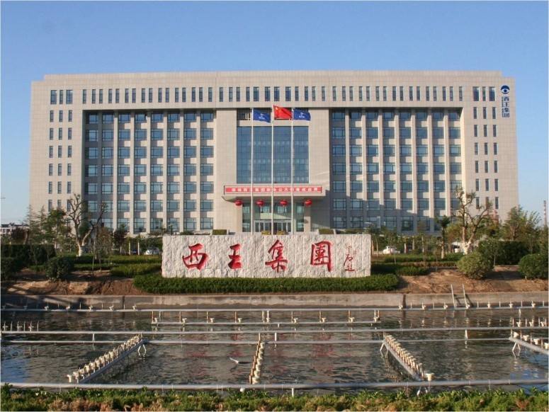 西王集团 西王集团