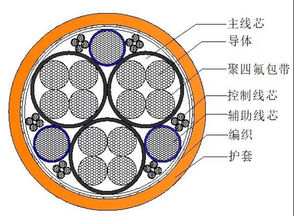 APCS结构示意图 APCS结构示意图