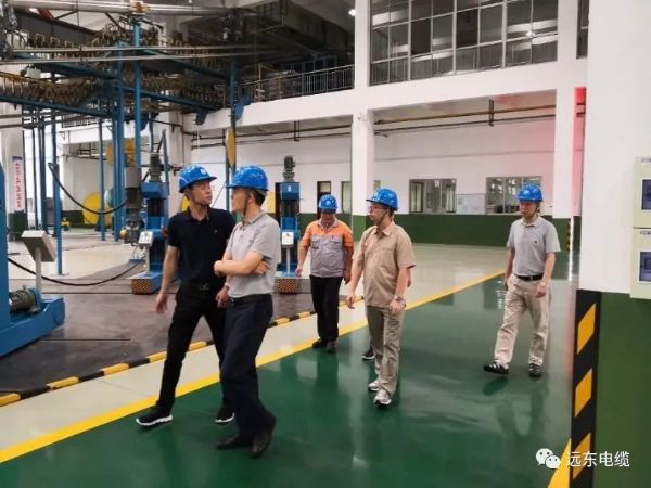 标准专家组参观工厂 标准专家组参观工厂