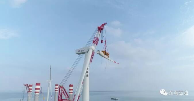 中海油首个海上风电项目并网发电 中海油首个海上风电项目并网发电