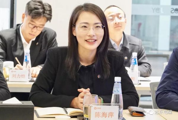 陈海萍发言 陈海萍发言