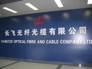 长飞光纤2020年三季度净利4.06亿 同比下滑37.86% 长飞光纤2020年三季度净利4.06亿 同比下滑37.86%