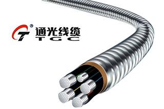 通光线缆预中标国家电网5109万元输变电项目 通光线缆预中标国家电网5109万元输变电项目